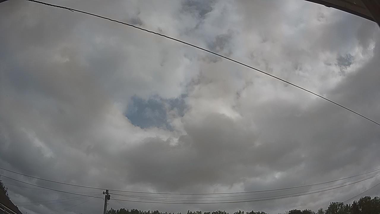 20260729_093548_cam2.jpg