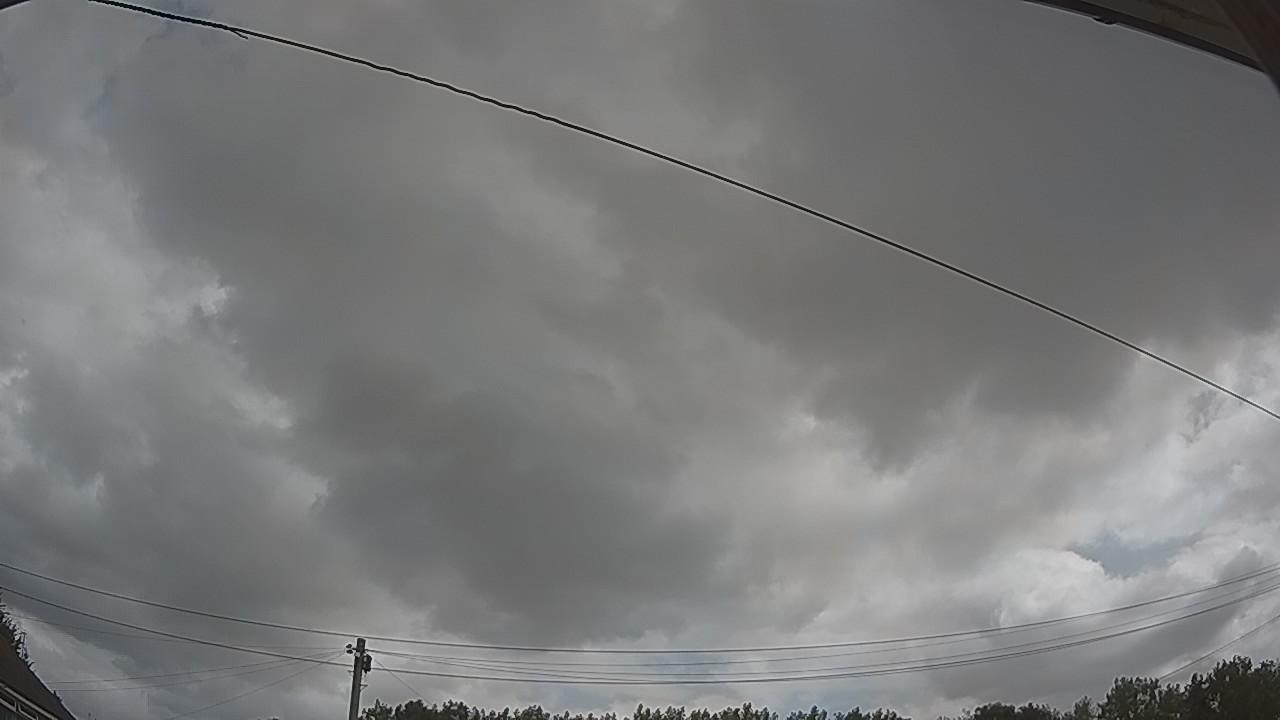 20260729_095147_cam2.jpg