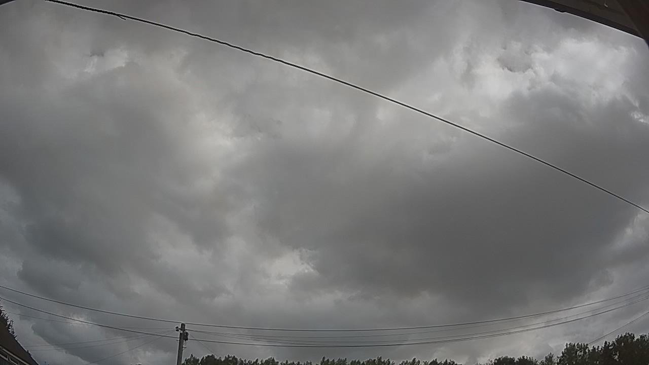 20260729_095547_cam2.jpg