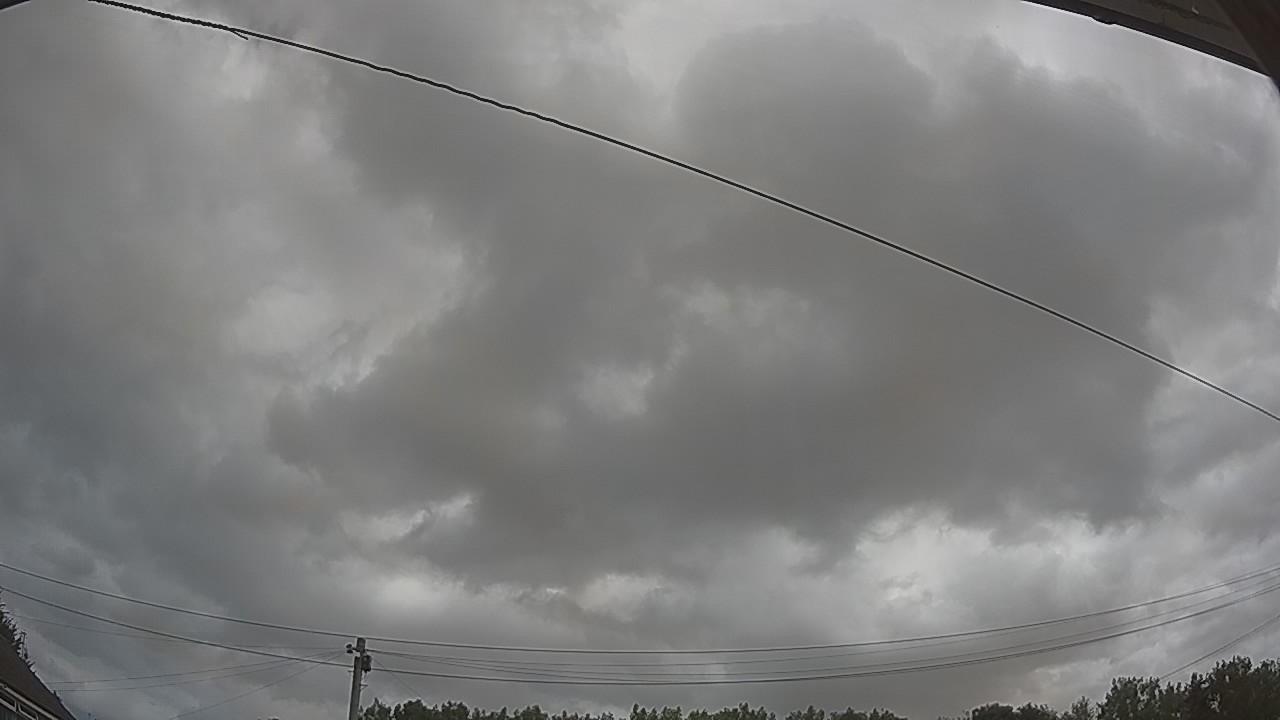 20260729_095937_cam2.jpg