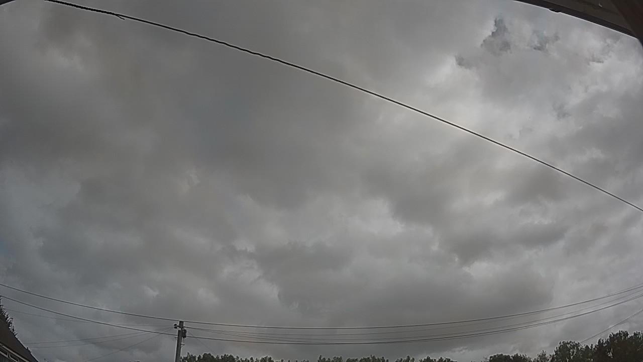 20260729_100328_cam2.jpg