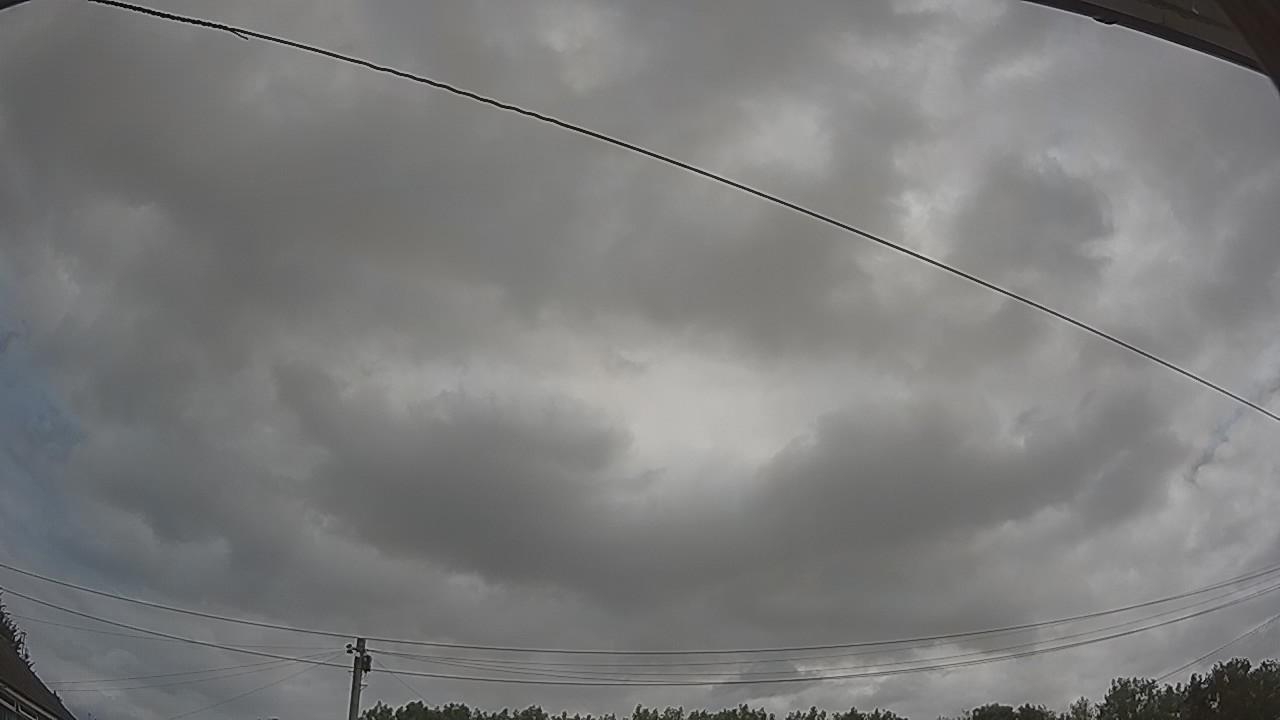 20260729_100719_cam2.jpg
