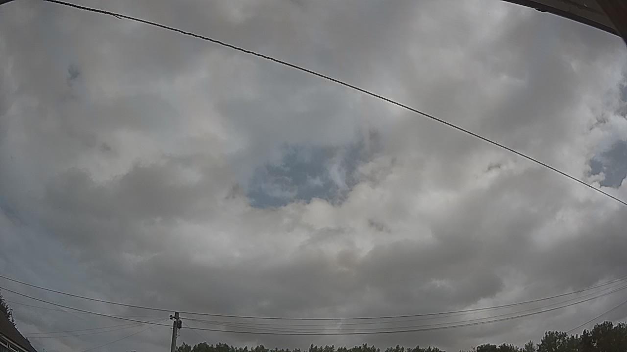 20260729_101110_cam2.jpg