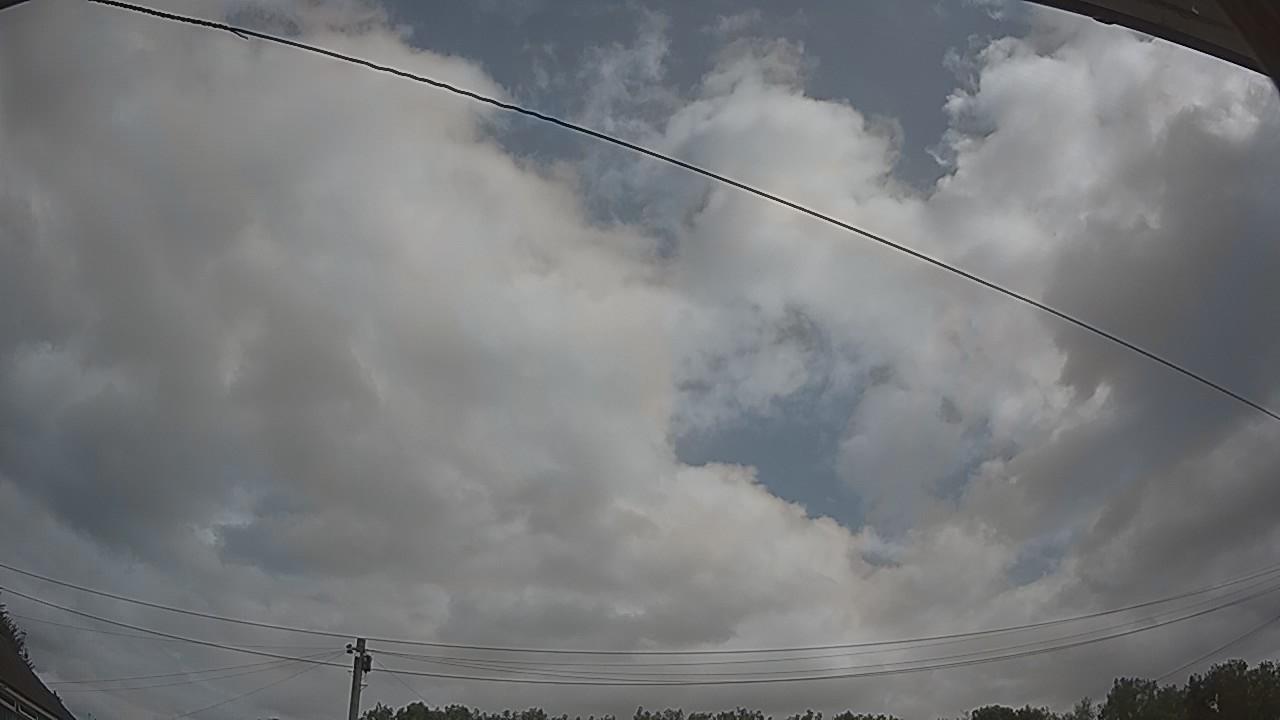 20260729_101501_cam2.jpg