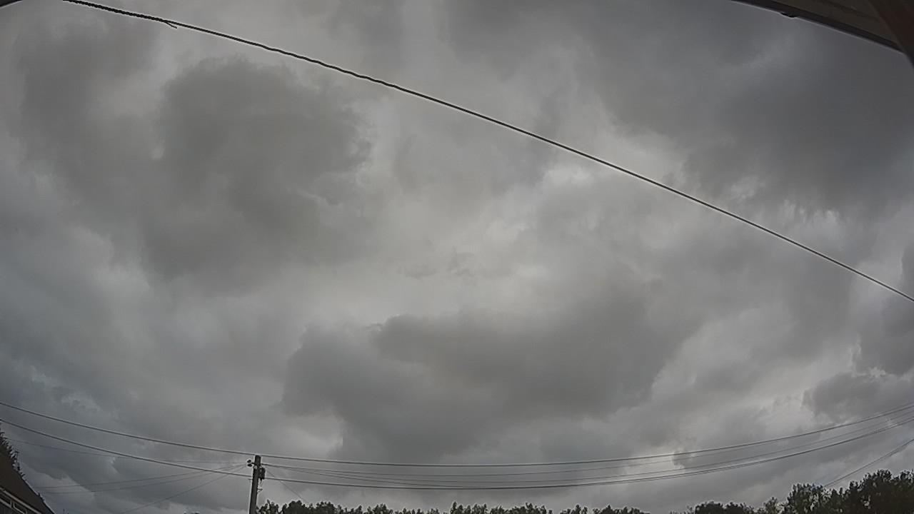 20260729_103032_cam2.jpg