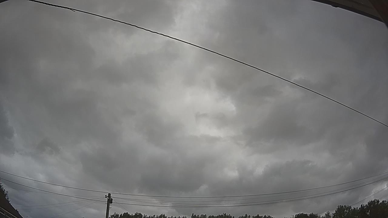 20260729_103833_cam2.jpg