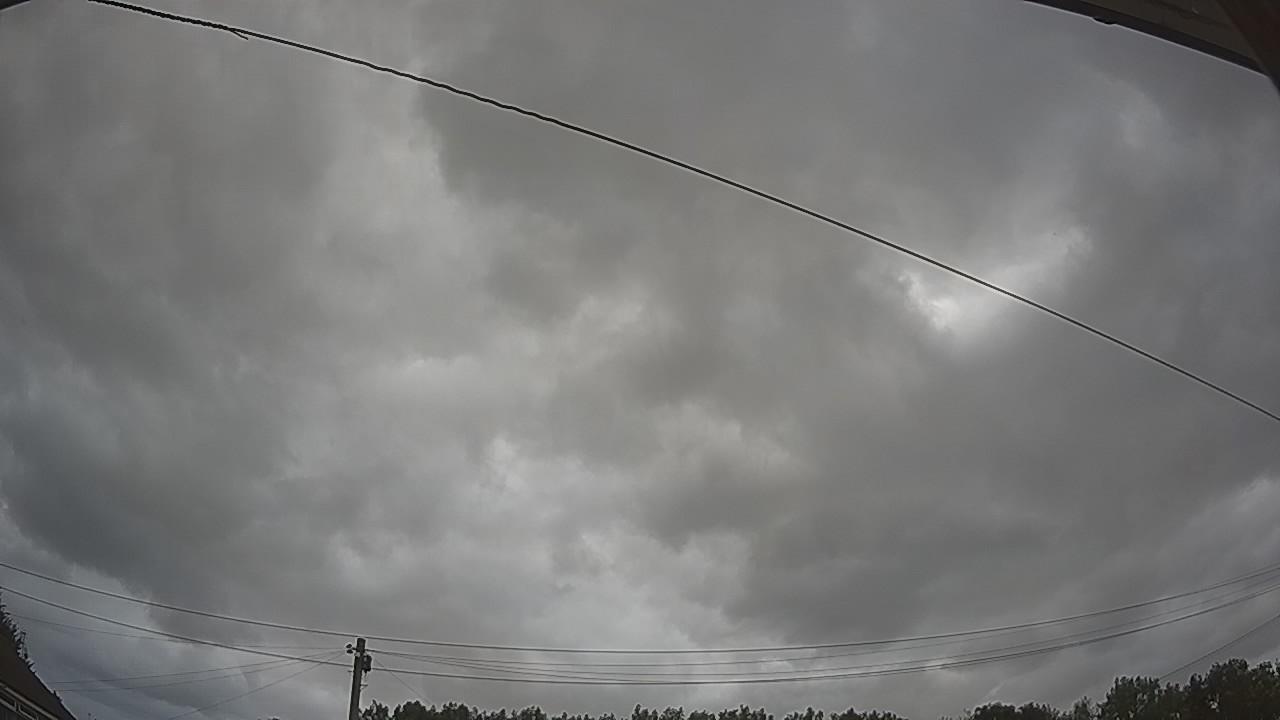 20260729_104233_cam2.jpg