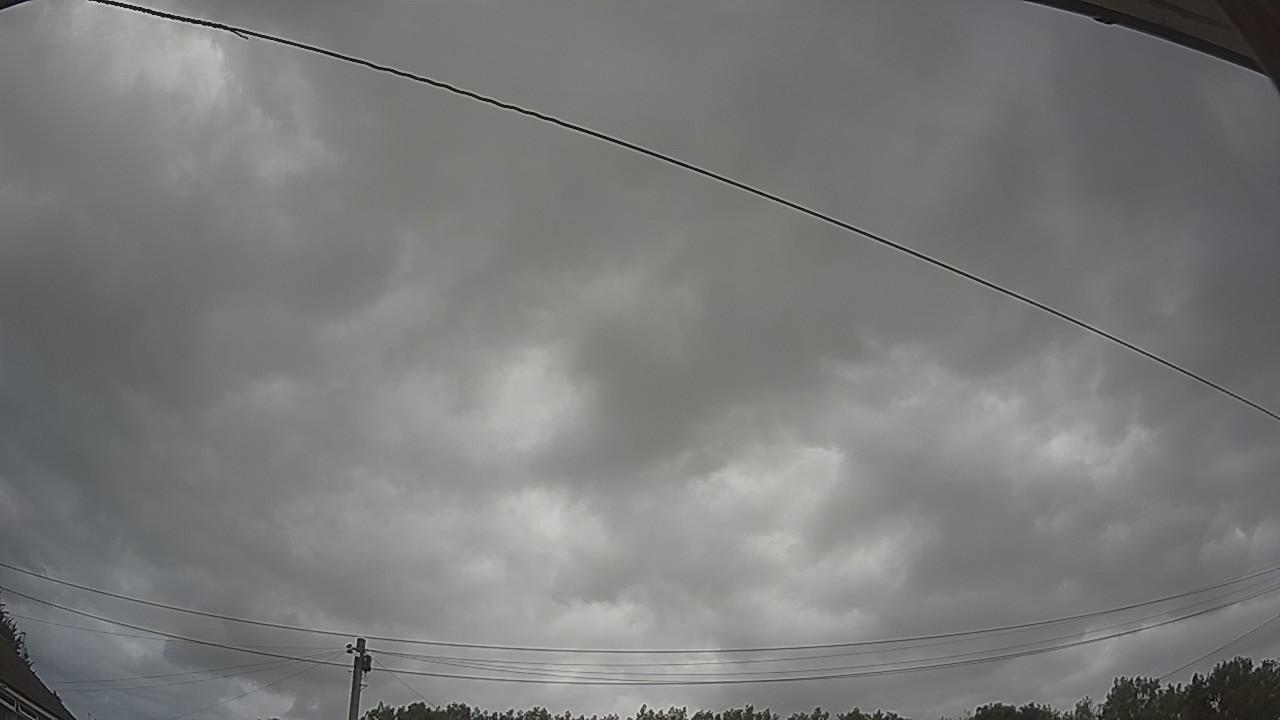 20260729_104633_cam2.jpg