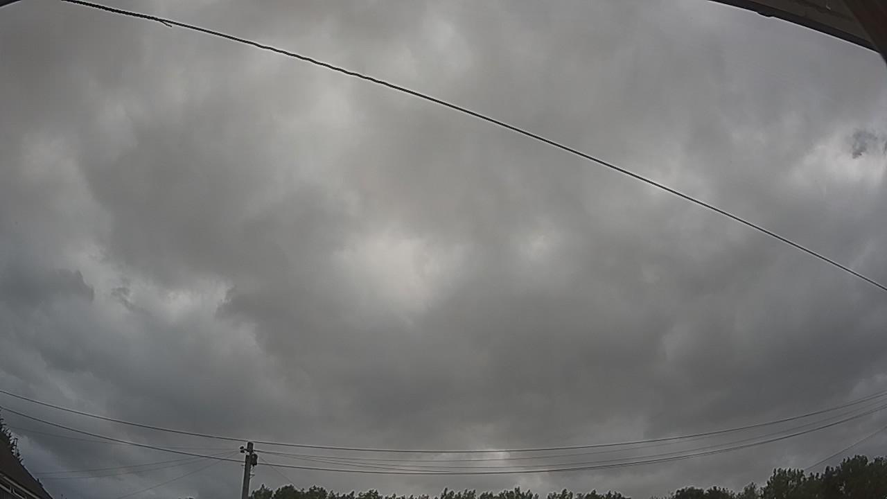 20260729_105033_cam2.jpg