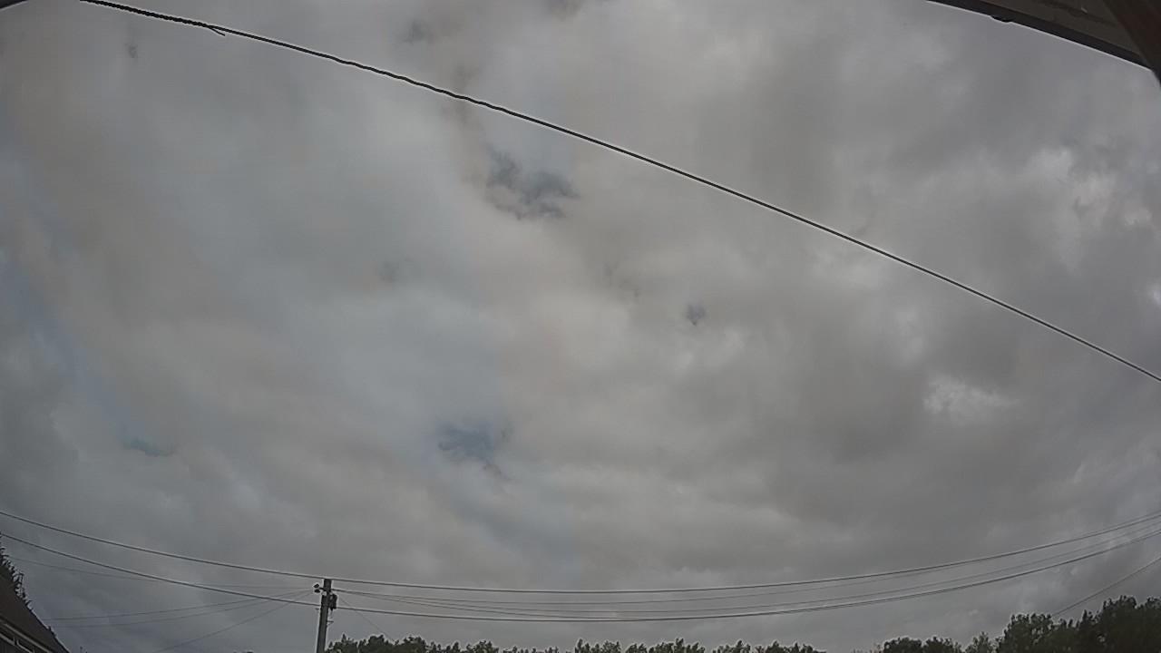 20260729_110158_cam2.jpg
