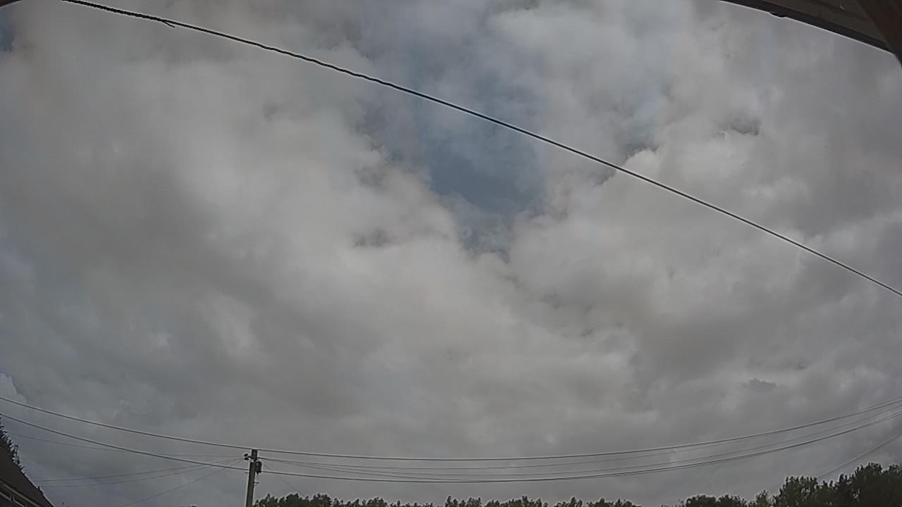 20260729_110540_cam2.jpg