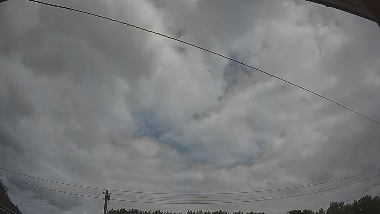20260729_111305_cam2.jpg