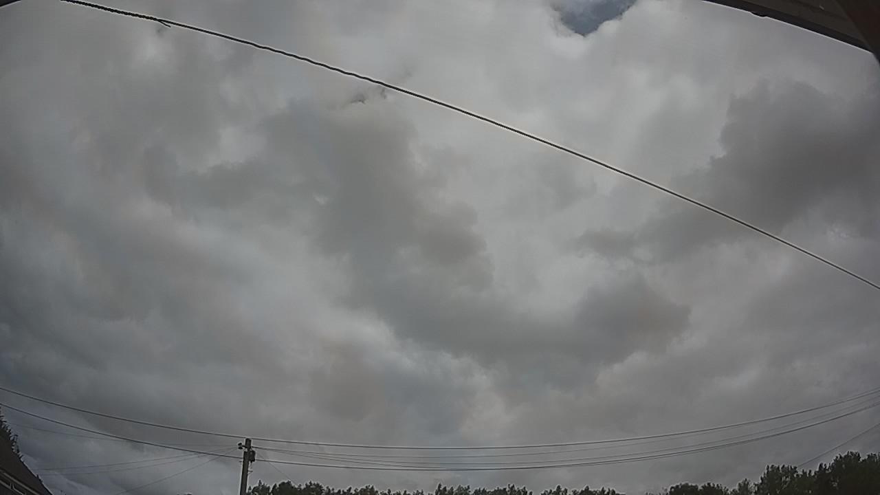 20260729_111647_cam2.jpg
