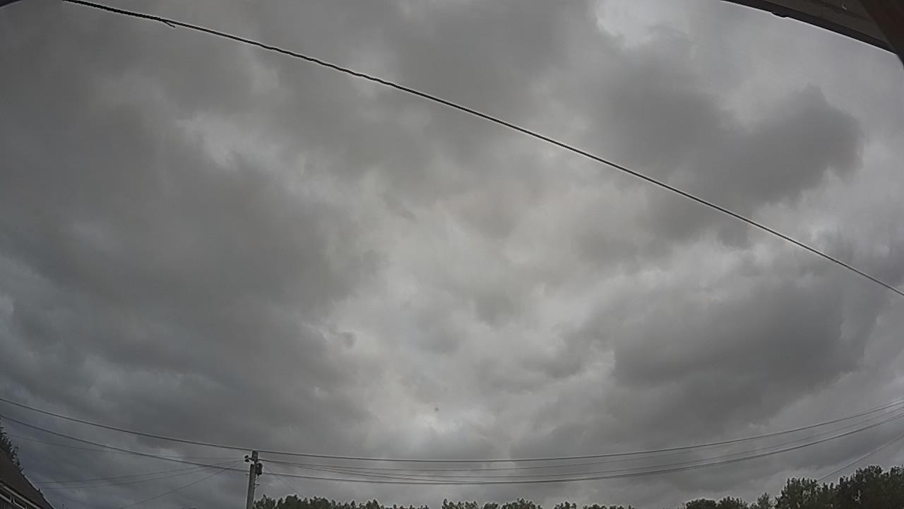 20260729_112411_cam2.jpg