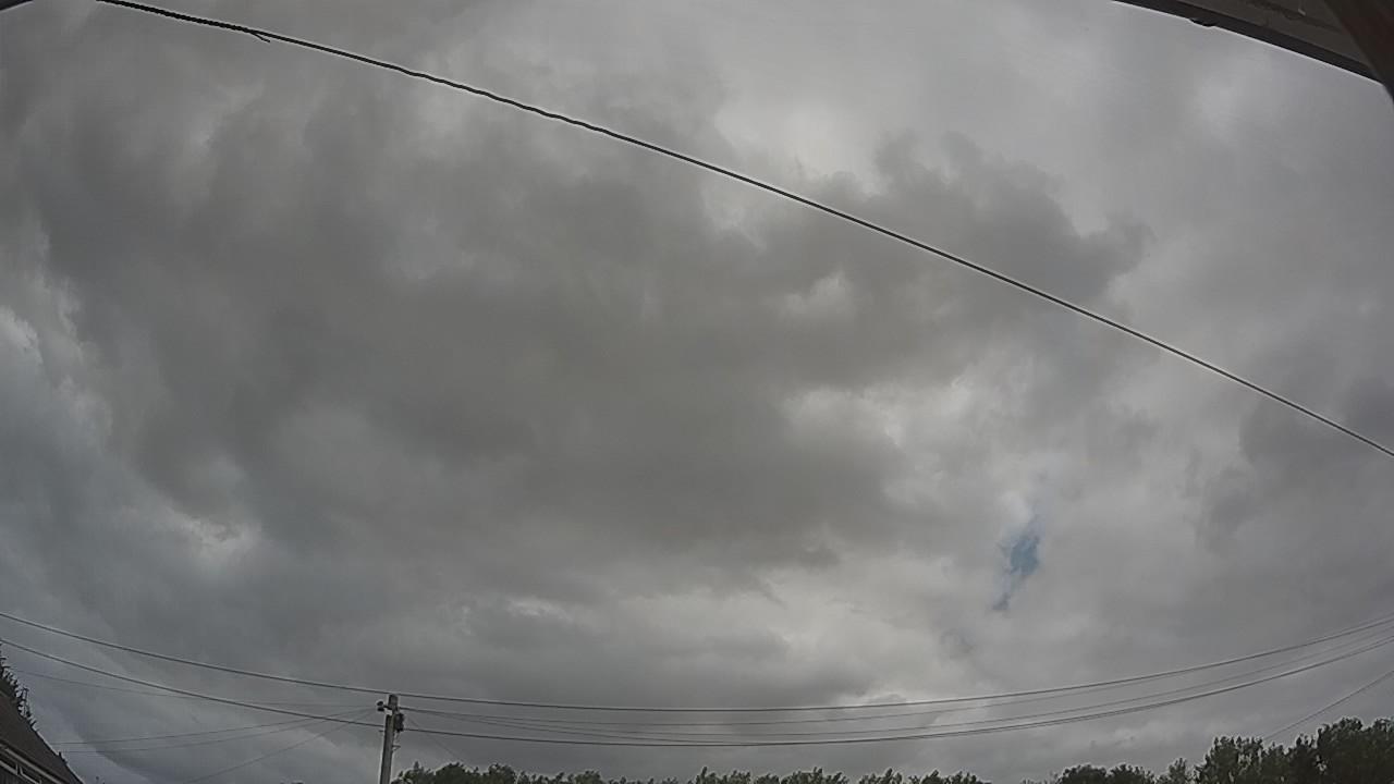 20260729_113135_cam2.jpg