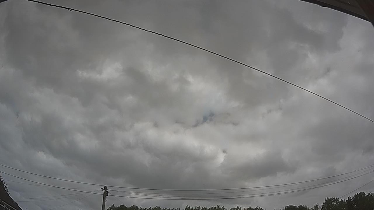 20260729_113518_cam2.jpg