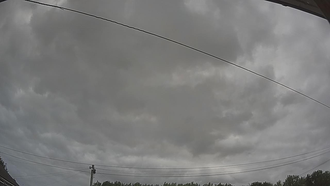 20260729_113900_cam2.jpg