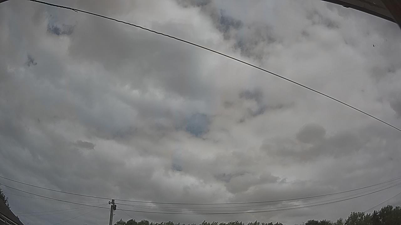 20260729_114624_cam2.jpg