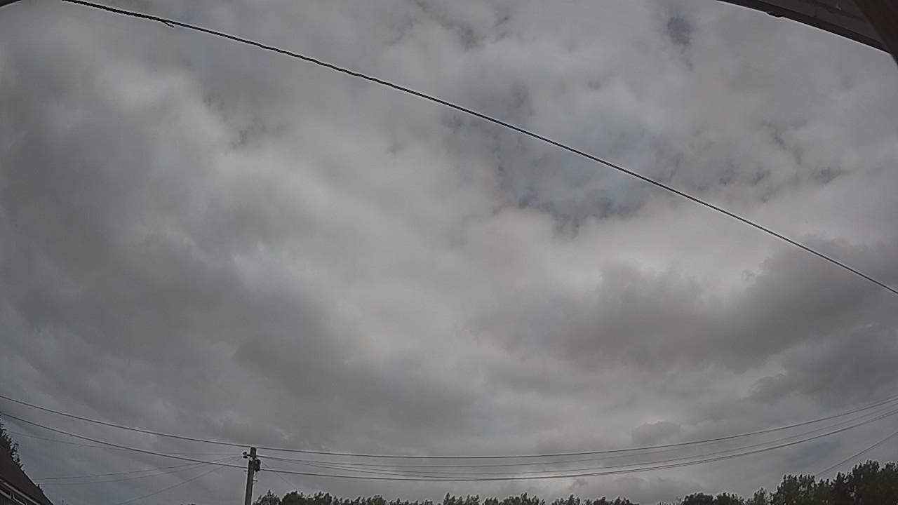 20260729_115005_cam2.jpg