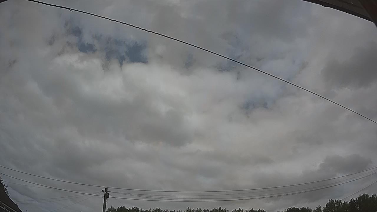 20260729_115347_cam2.jpg