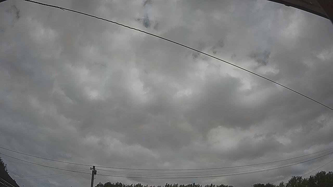 20260729_115729_cam2.jpg
