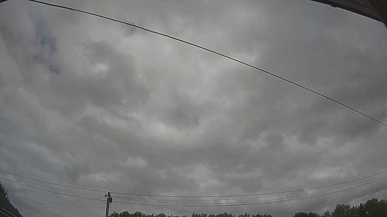 20260729_120834_cam2.jpg