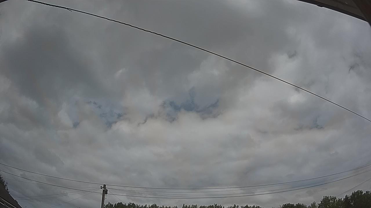 20260729_123045_cam2.jpg