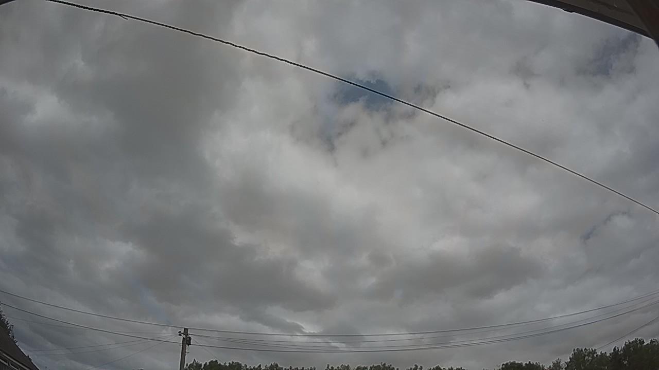 20260729_123807_cam2.jpg