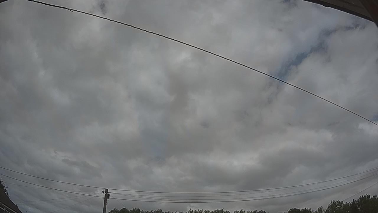 20260729_124530_cam2.jpg