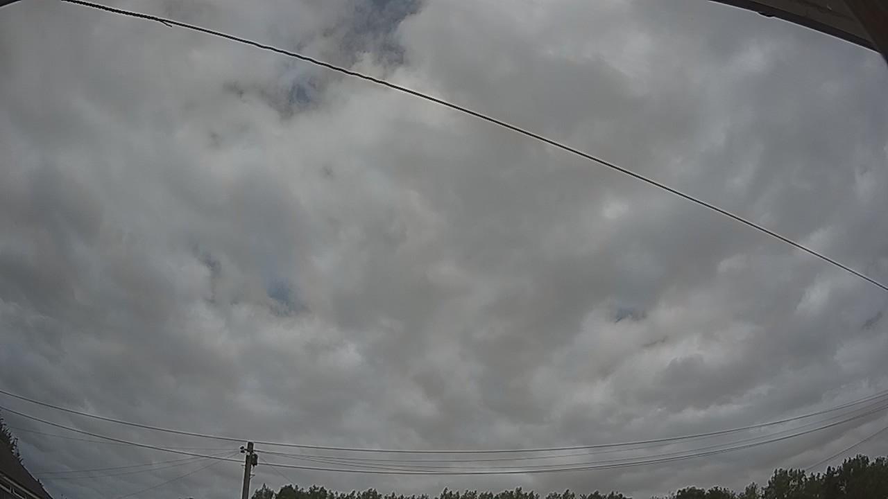 20260729_124911_cam2.jpg