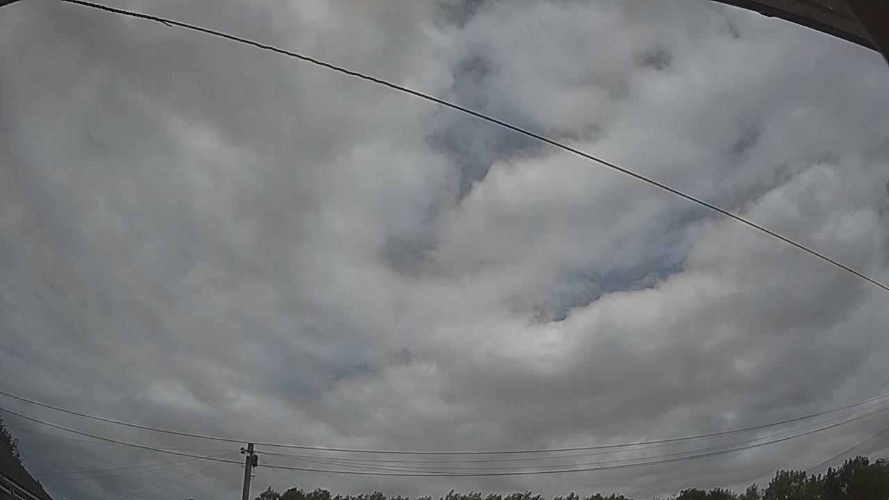 20260729_125254_cam2.jpg