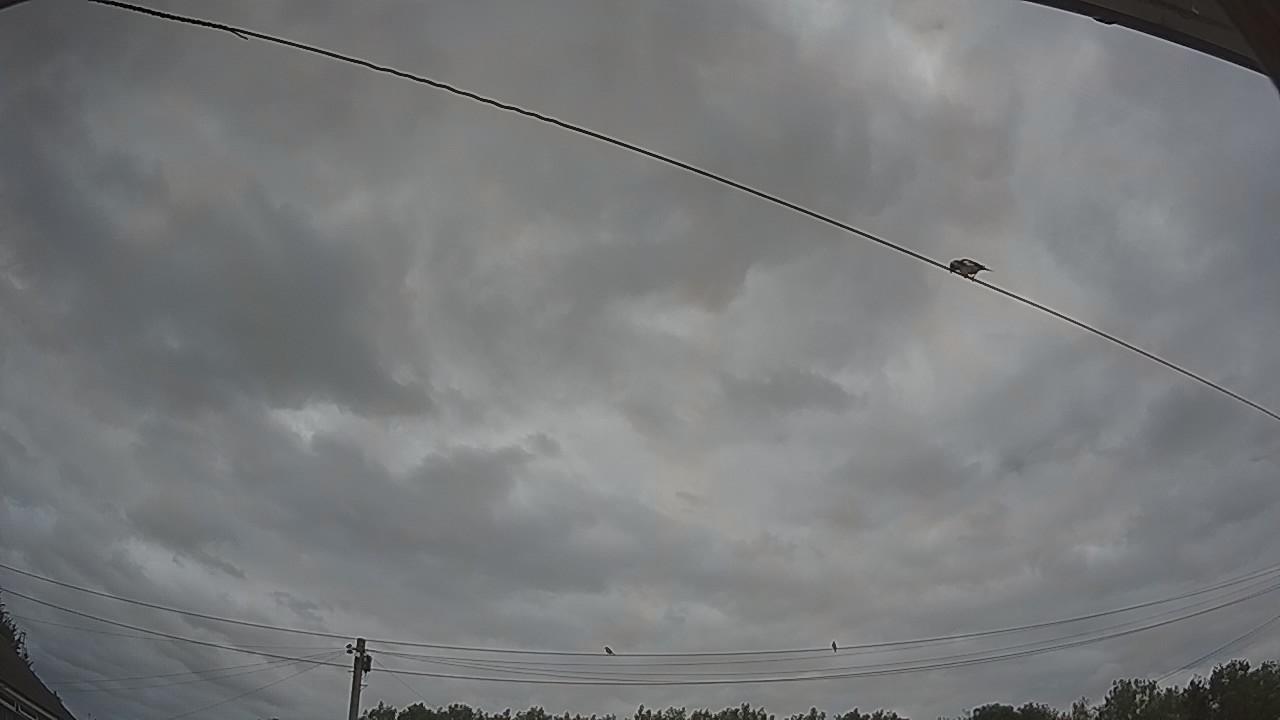 20260729_130646_cam2.jpg