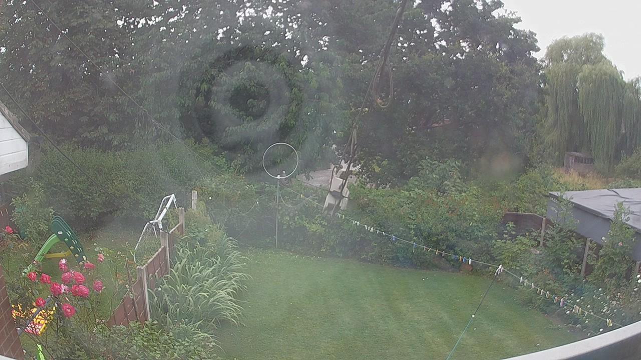 20260729_132347_cam1.jpg