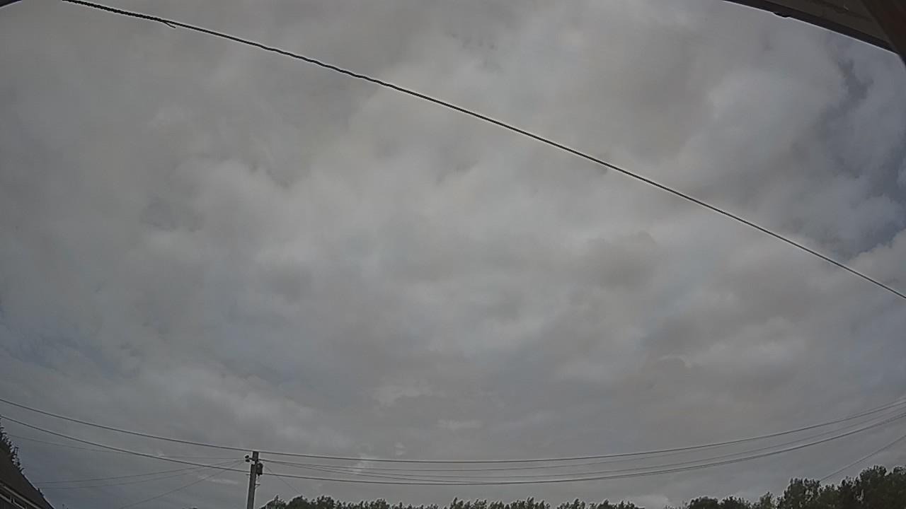 20260729_132348_cam2.jpg