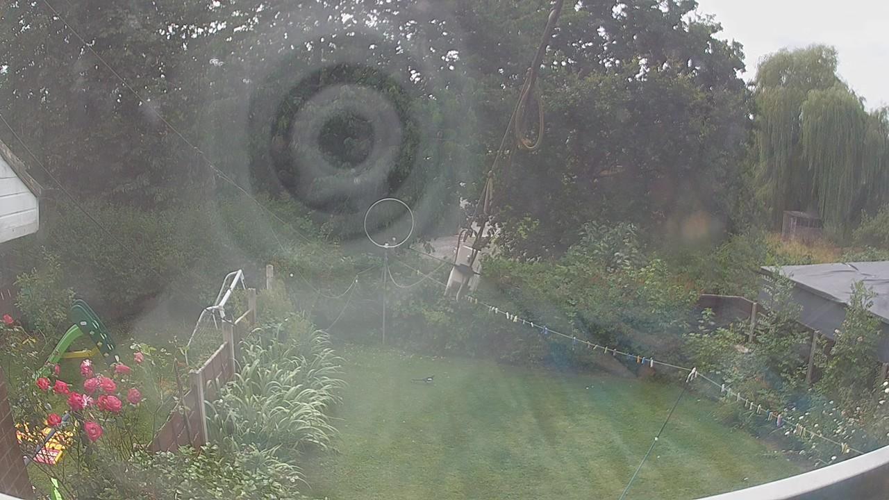20260729_132712_cam1.jpg