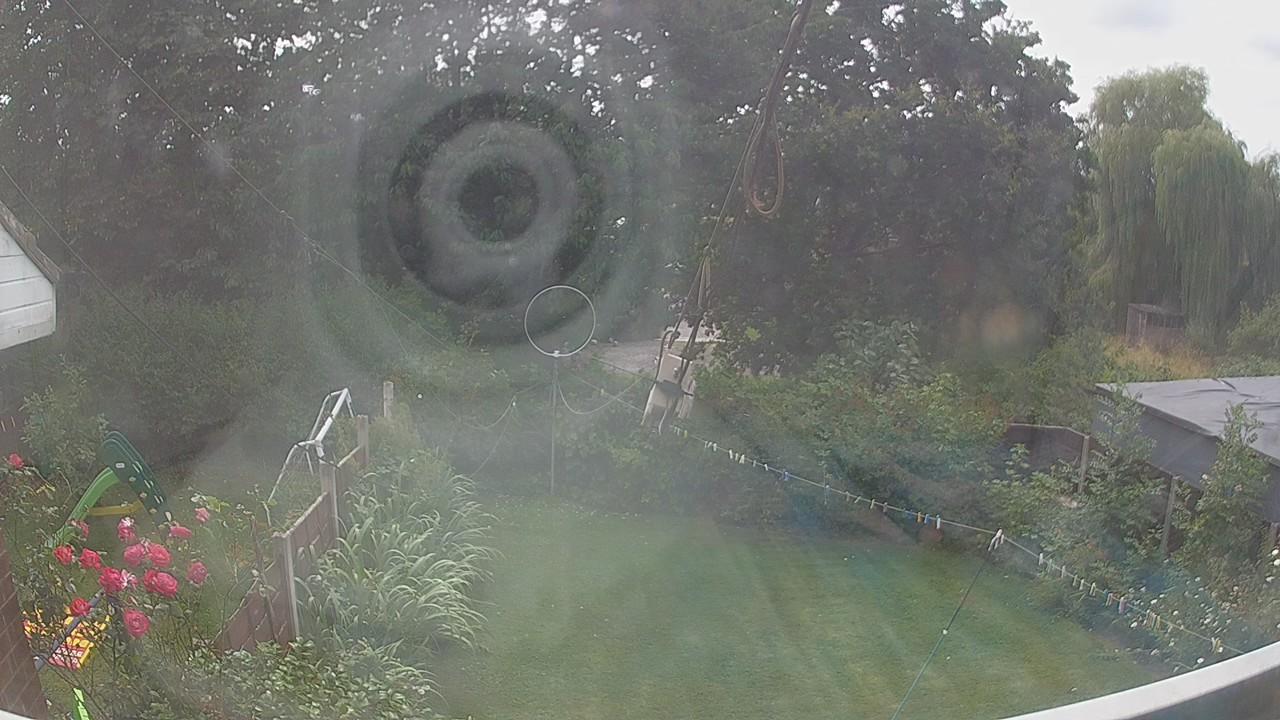 20260729_133046_cam1.jpg