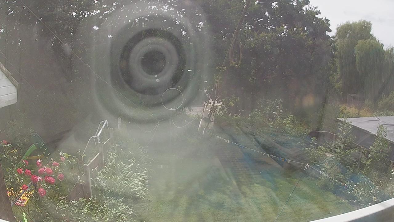 20260729_133420_cam1.jpg