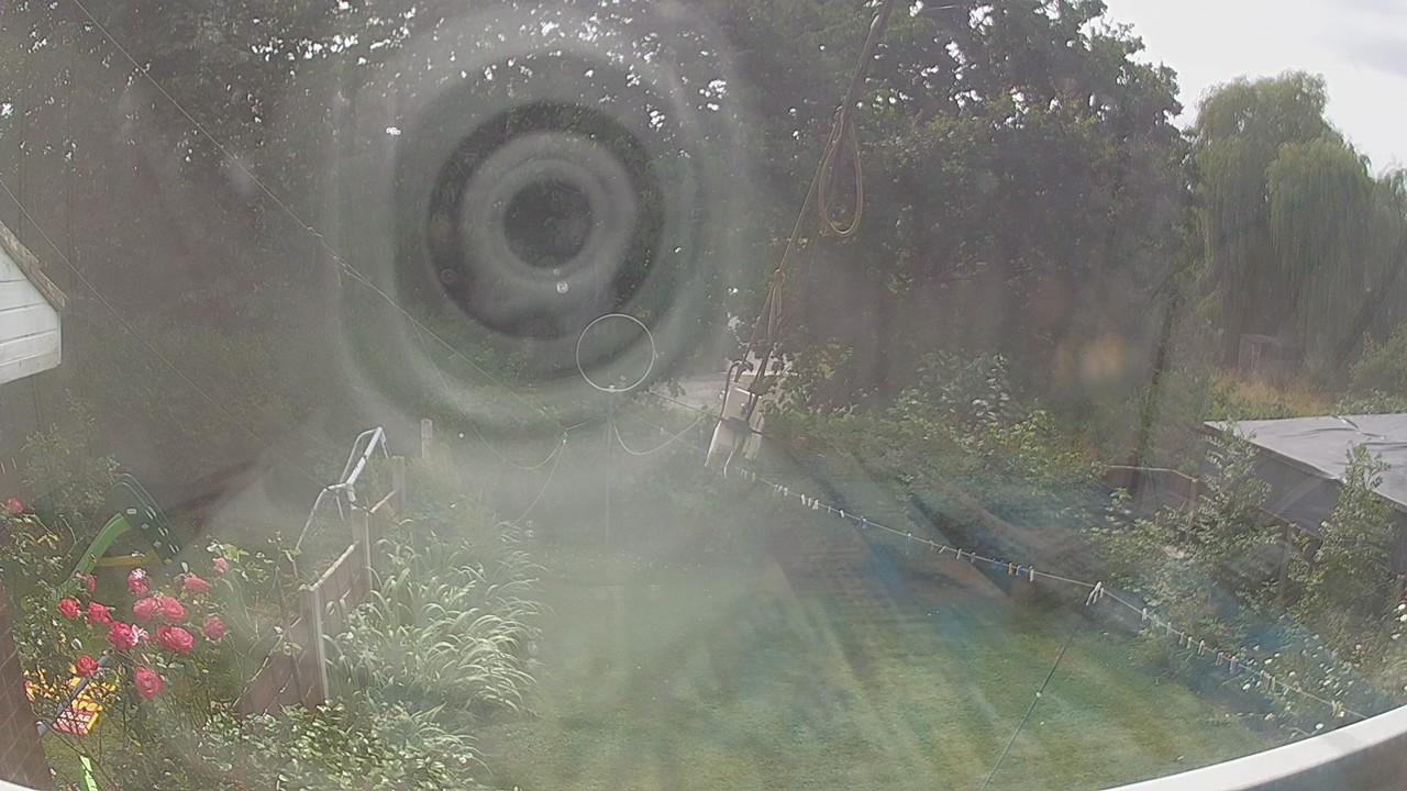 20260729_134126_cam1.jpg