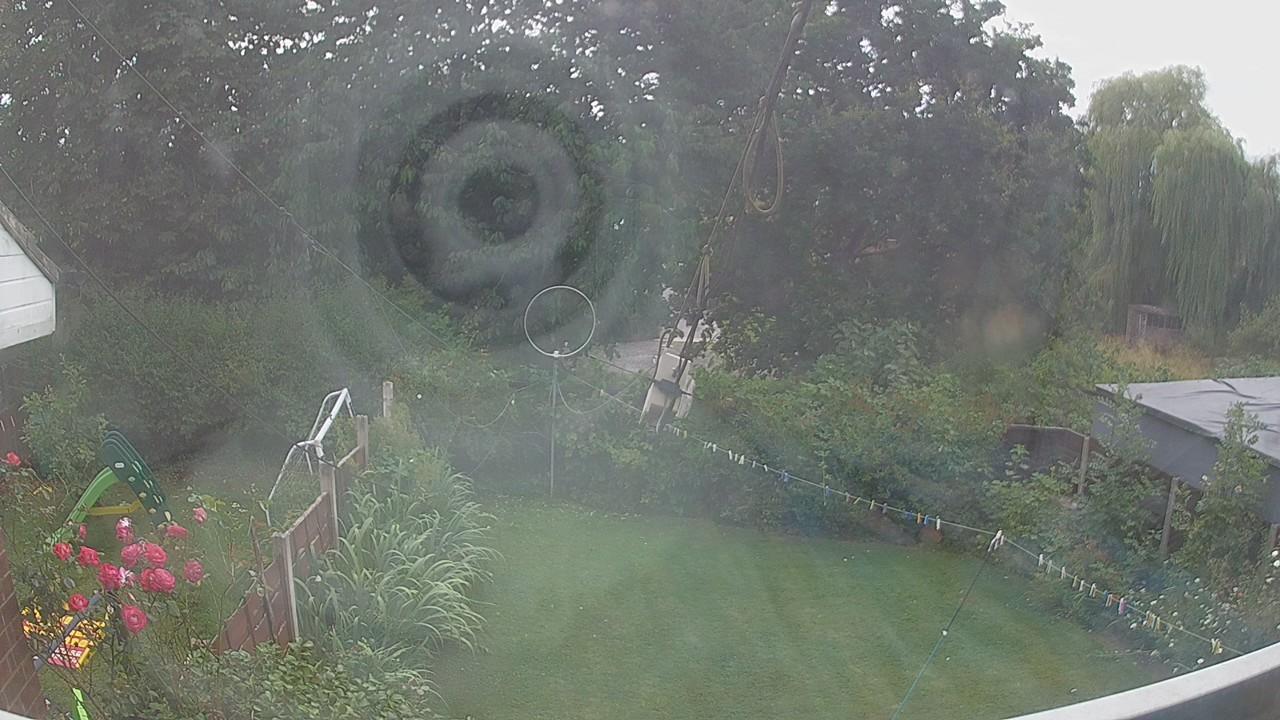 20260729_135206_cam1.jpg
