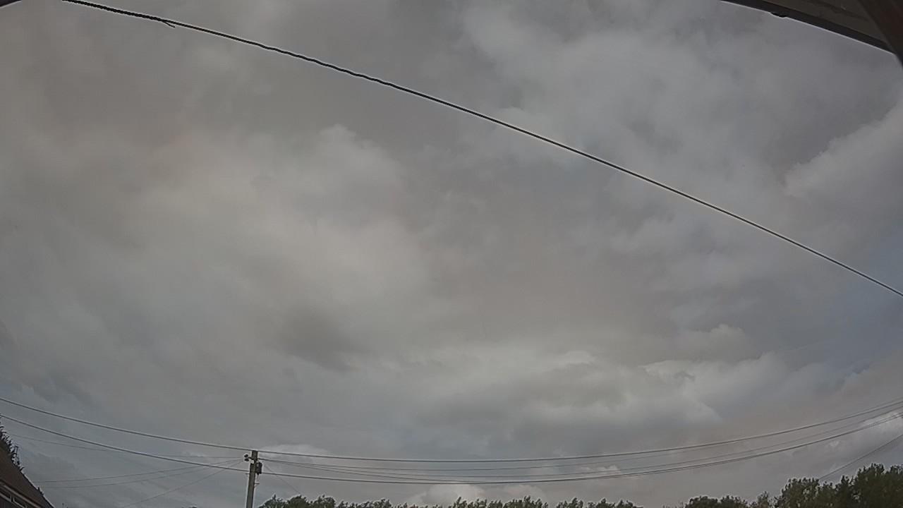 20260729_135207_cam2.jpg