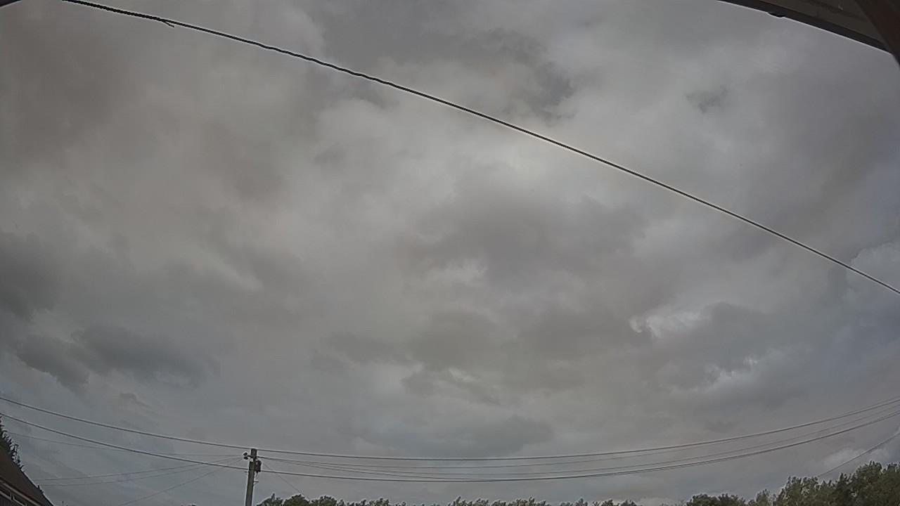 20260729_135541_cam2.jpg