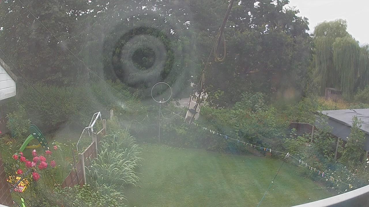 20260729_135913_cam1.jpg