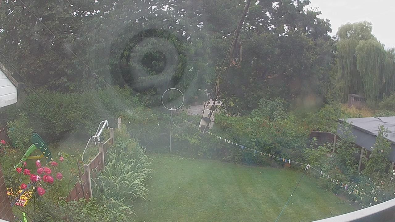 20260729_140246_cam1.jpg