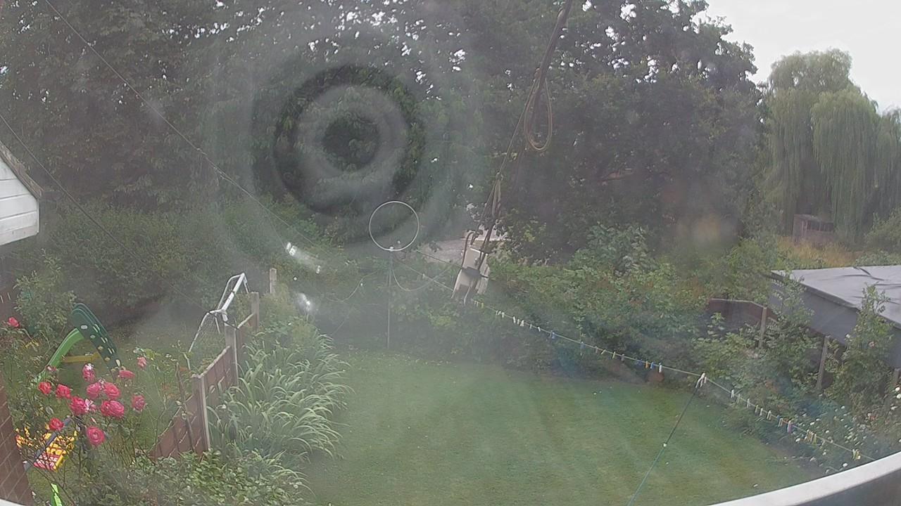 20260729_140619_cam1.jpg
