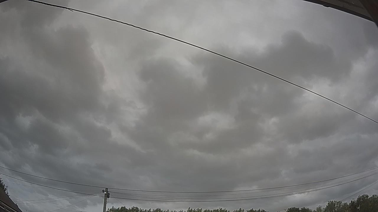 20260729_140620_cam2.jpg