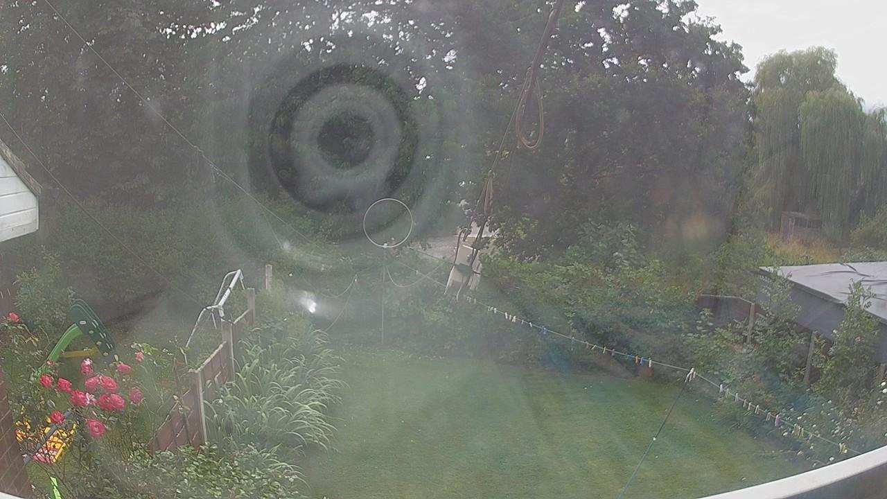 20260729_141325_cam1.jpg
