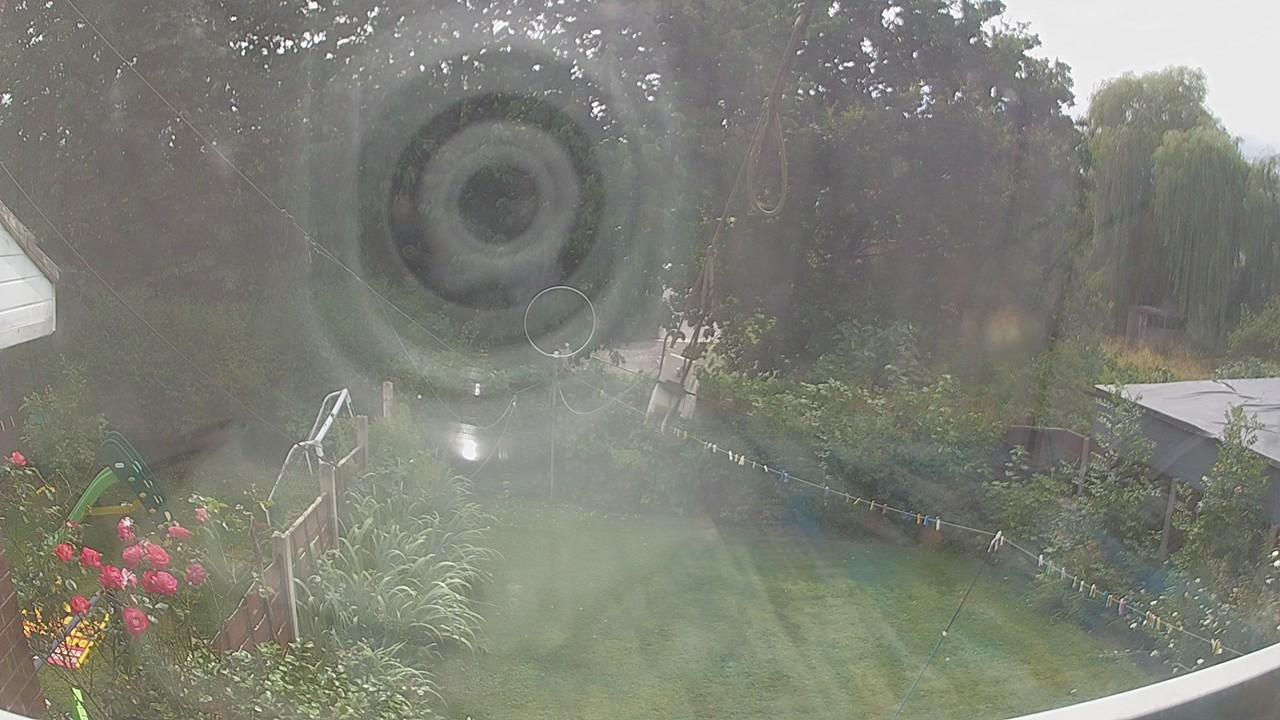 20260729_142031_cam1.jpg