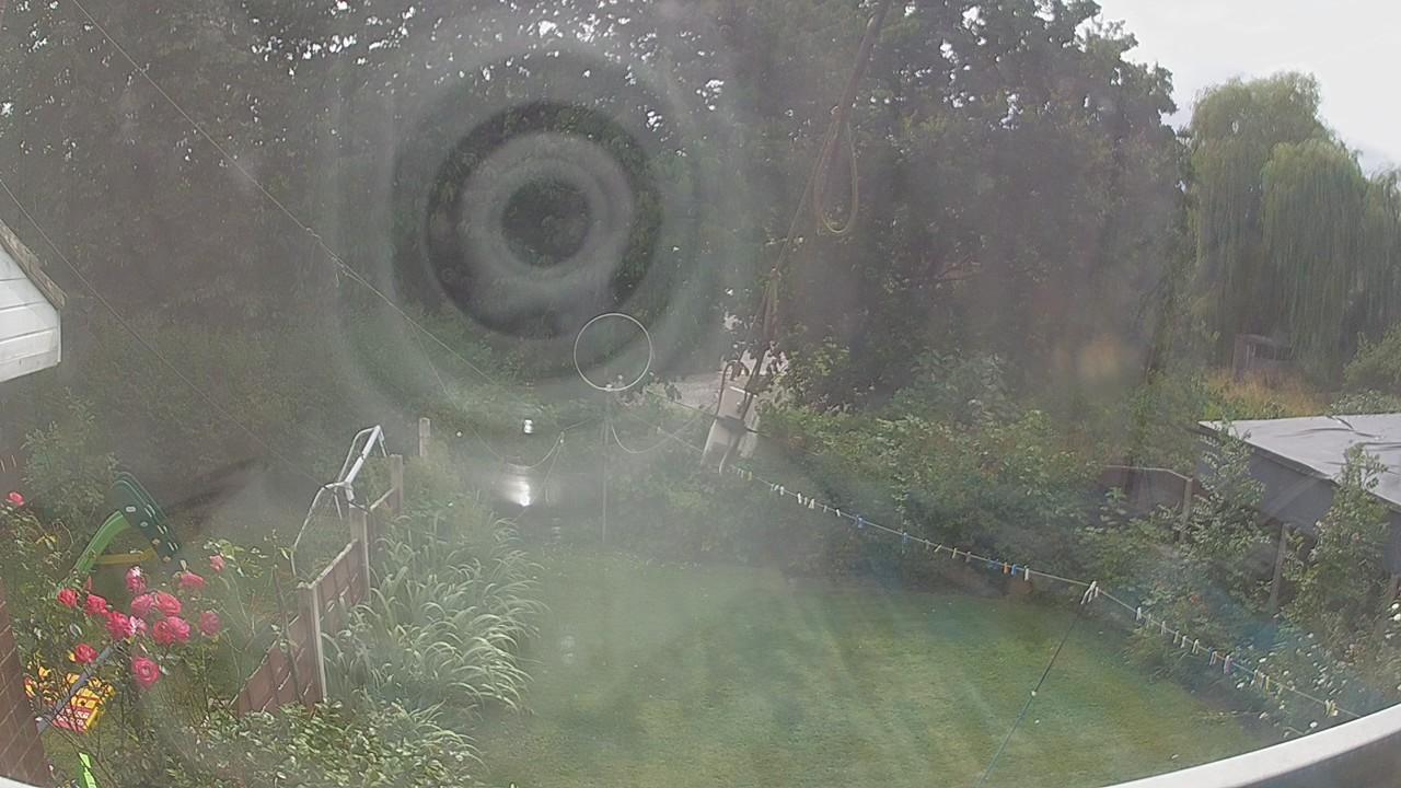 20260729_142404_cam1.jpg