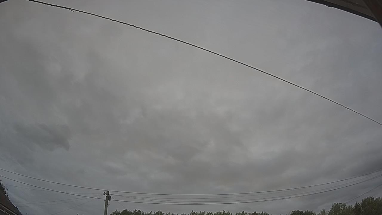 20260729_144707_cam2.jpg