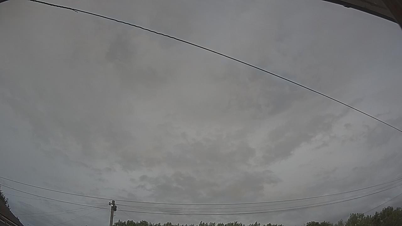 20260729_145336_cam2.jpg